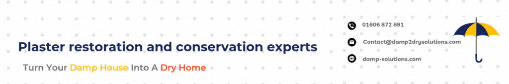 Plaster restoration and conservation experts