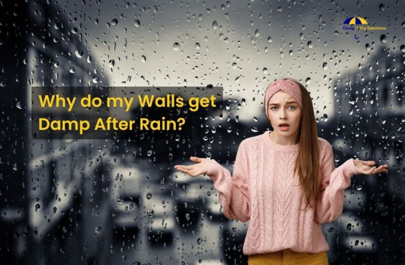 why-do-my-walls-get-damp-after-rain