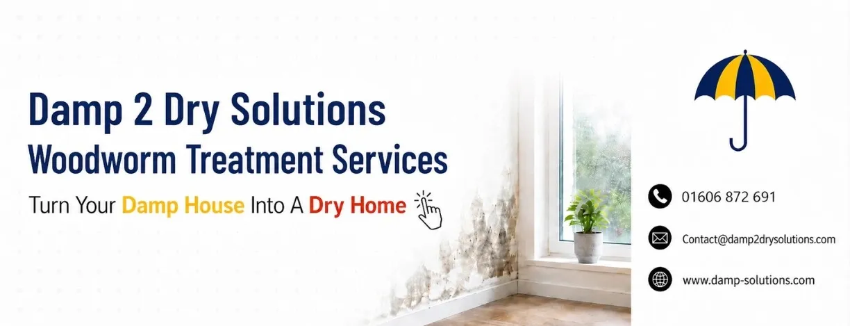 woodworm treatment services CTA