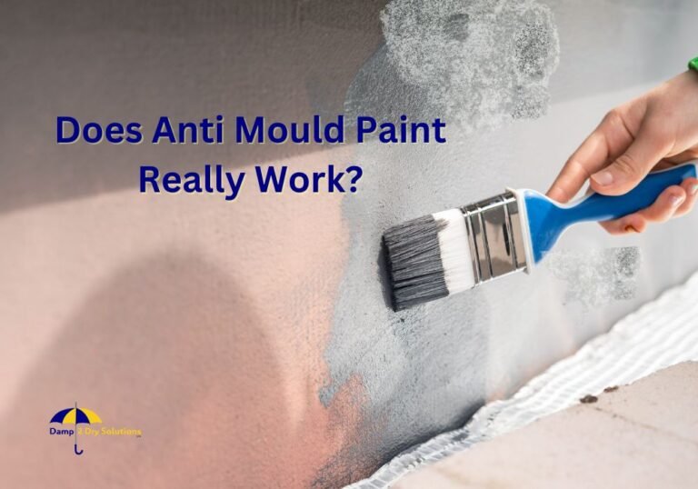 Does Anti Mould Paint Really Work? Damp2Dry Solutions Ltd