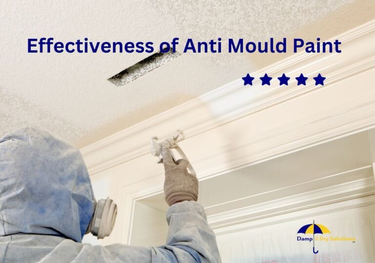 Does Anti Mould Paint Really Work? Damp2Dry Solutions Ltd