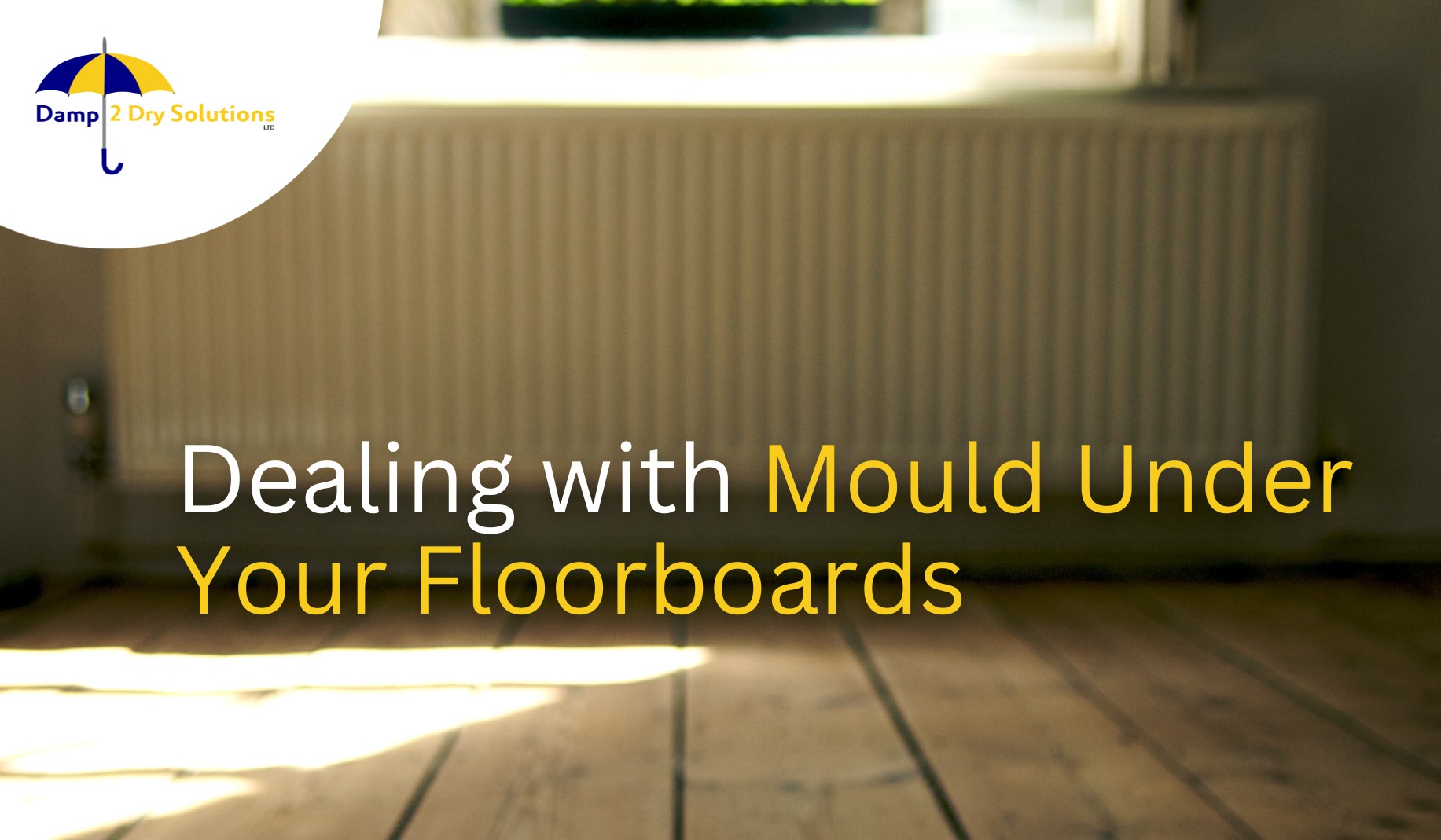 mould under your floorboards