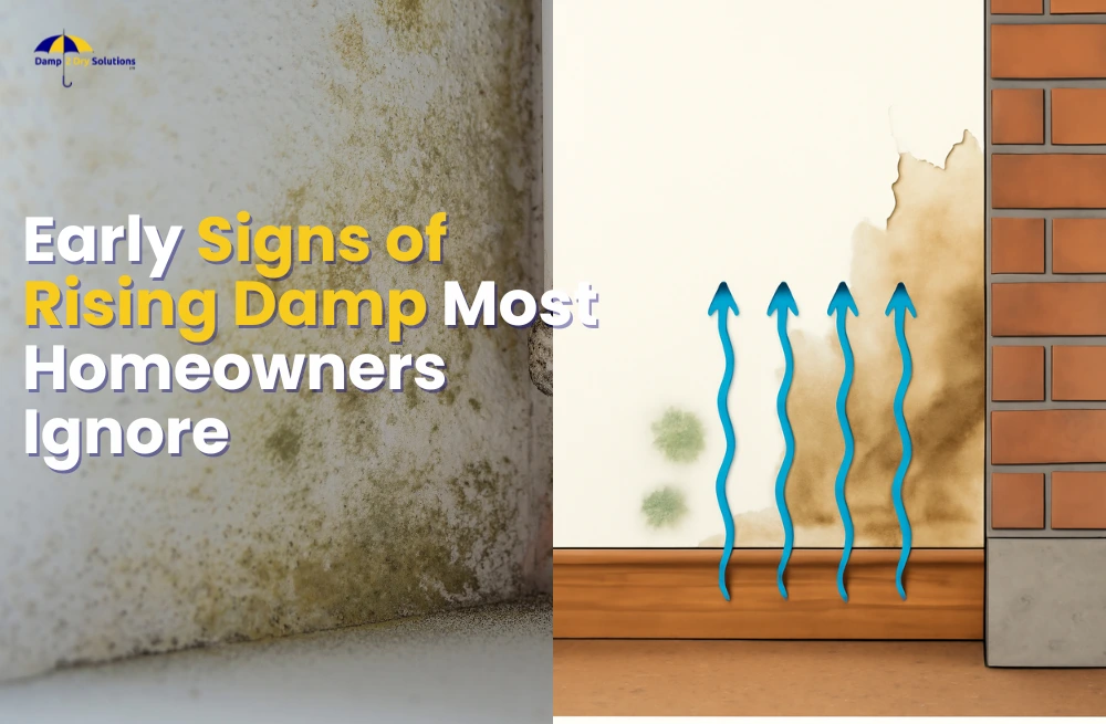 Signs of Rising Damp