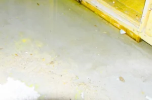 basement floor get wet