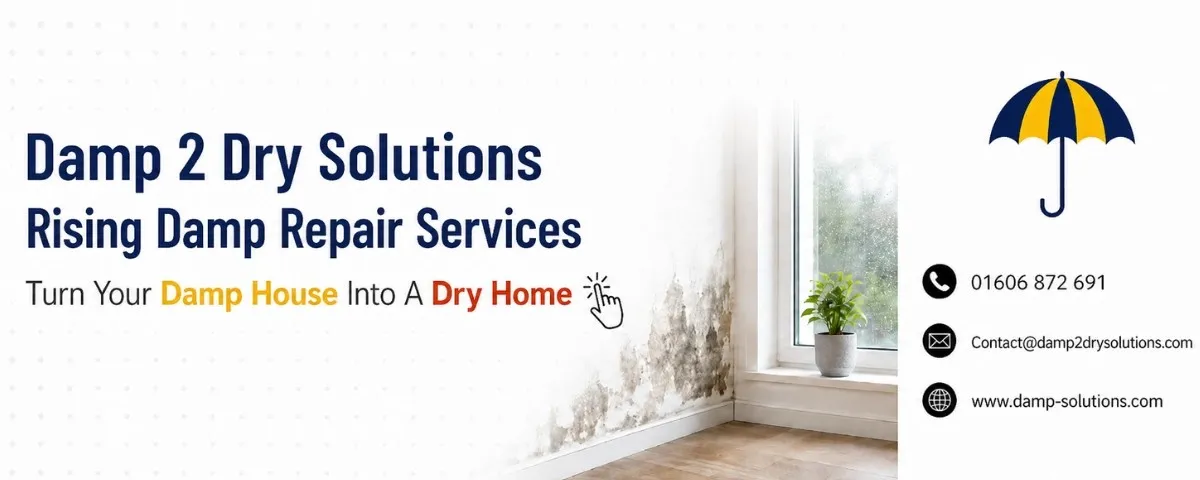 rising damp repair CTA
