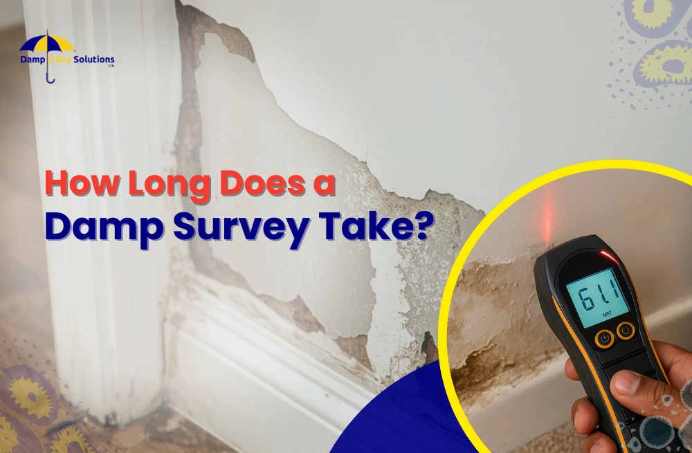 how long does a damp survey take