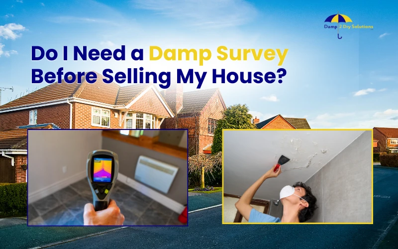 do i need a damp survey before selling my house