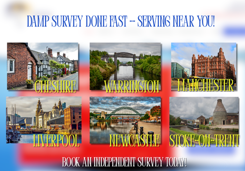 damp survey done fast, serving near you