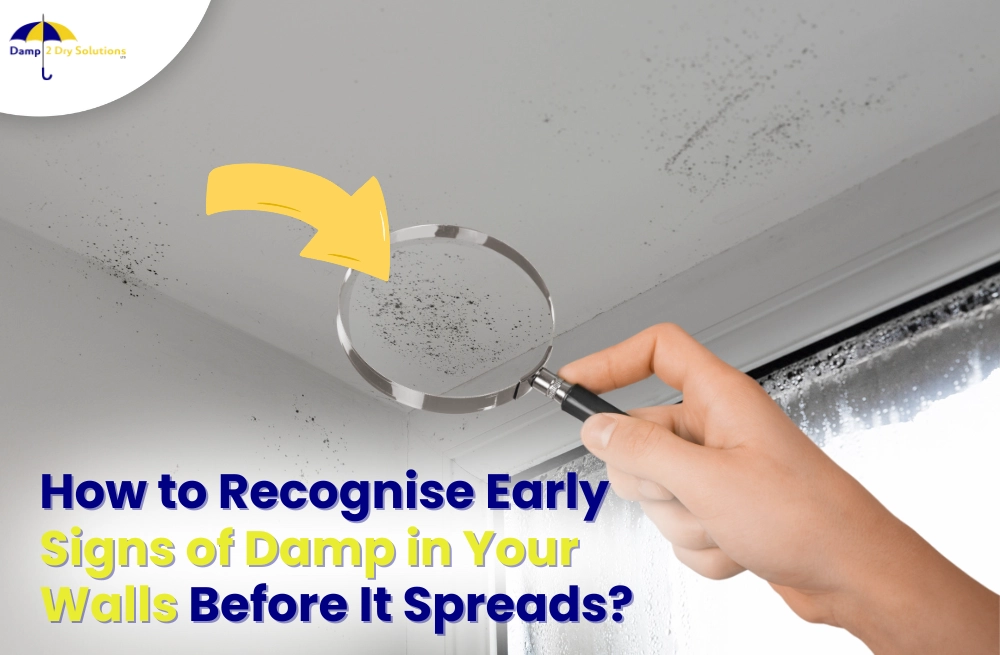 recognise early signs of damp in your walls