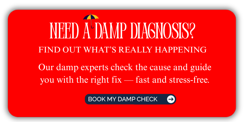 book my damp check CTA banner