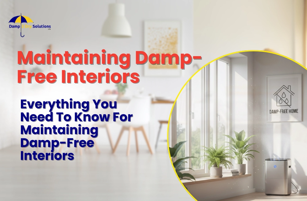 maintaining damp-free nteriors