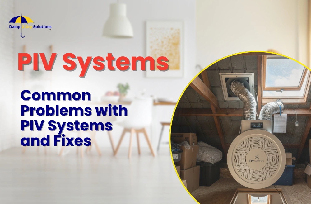 PIV Systems