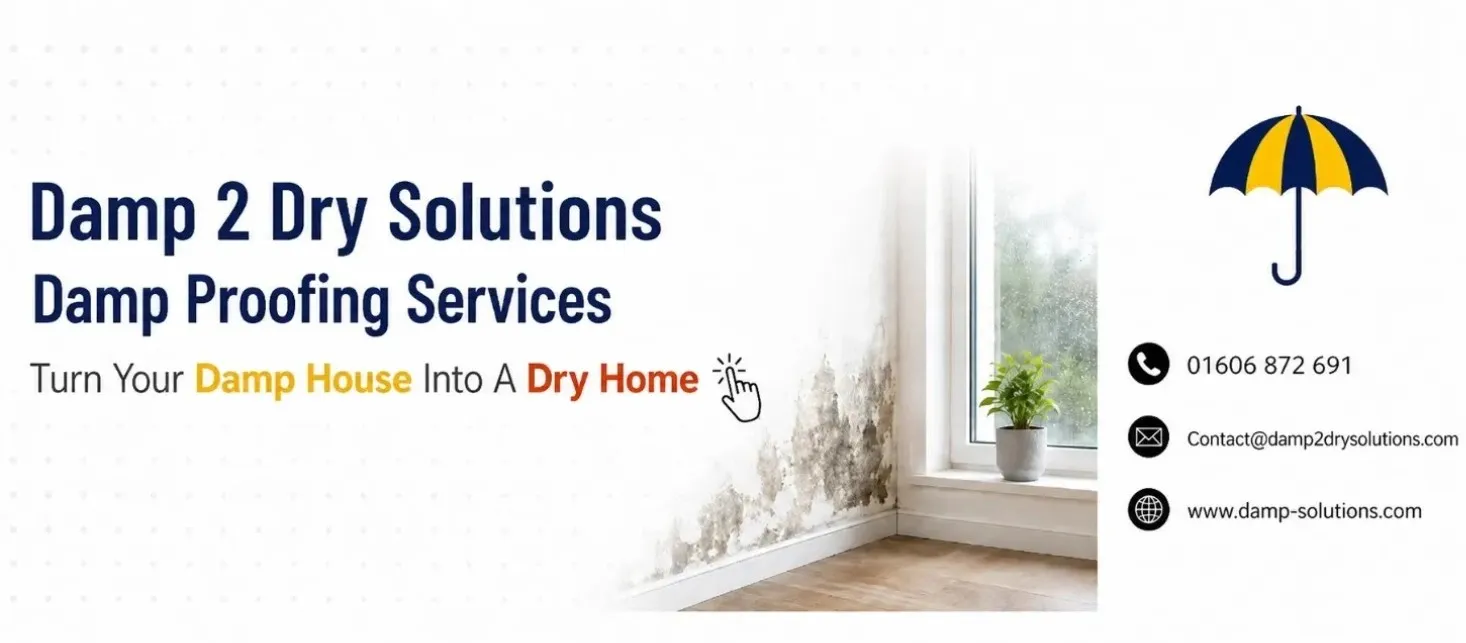 damp proofing services CTA