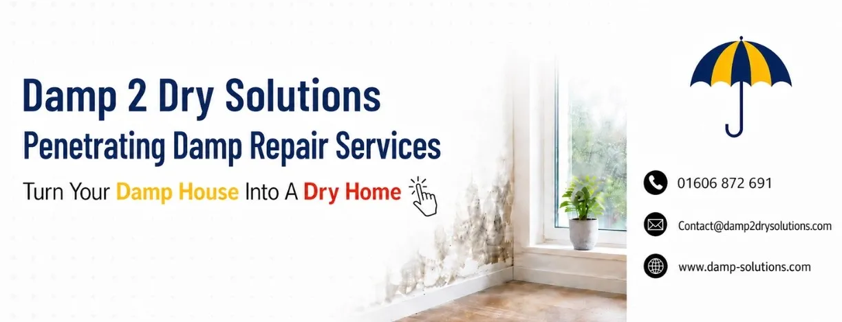 penetrating damp repair services CTA