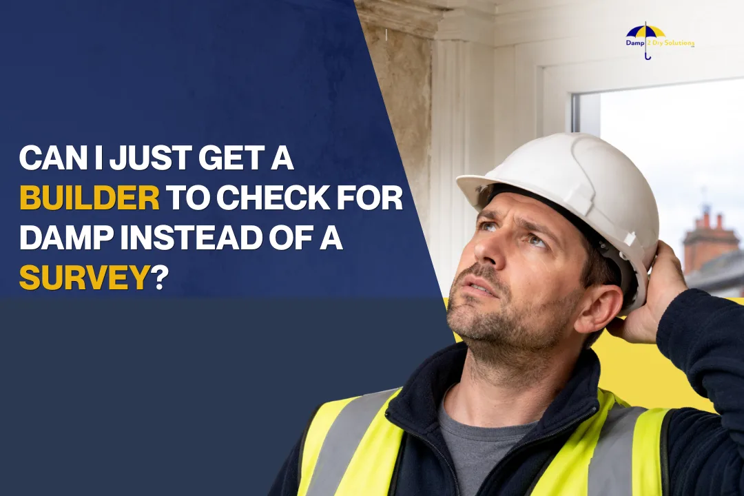 Can I Just Get a Builder to Check for Damp Instead of a Survey