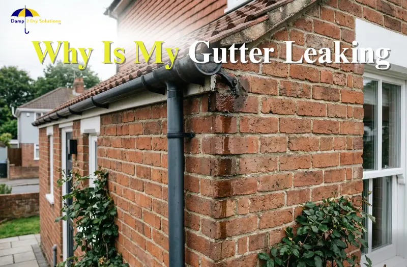 Why Is My Gutter Leaking