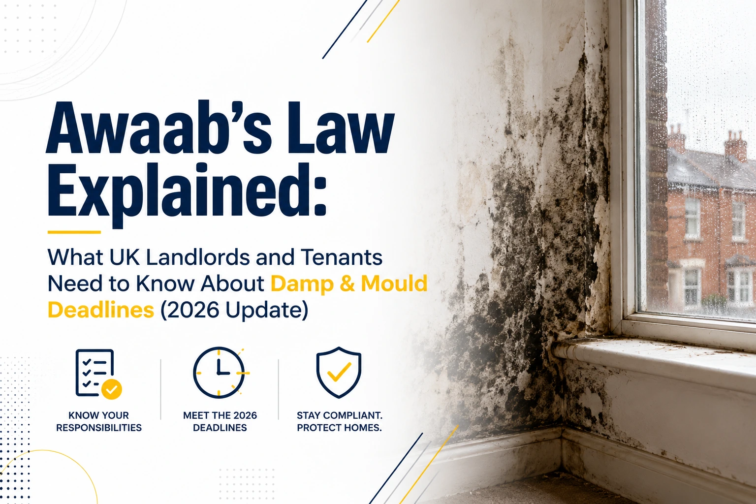 Awaab’s Law Explained: UK Damp & Mould Rules in 2026