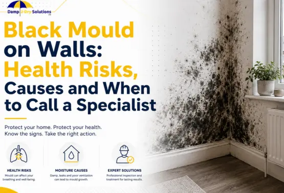 Black Mould on Walls: Health Risks, Causes and When to Call a Specialist