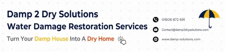 damp solutions CTA